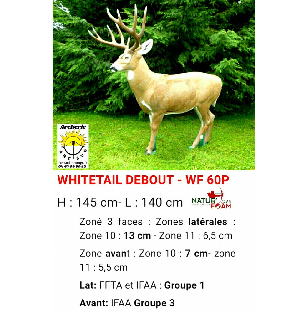 Natur foam bête 3D whitetail debout wf60p