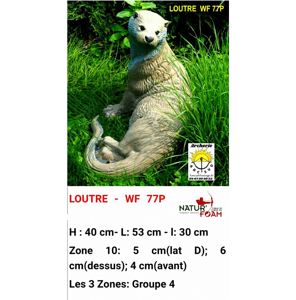 Natur foam bête 3D loutre wf77p