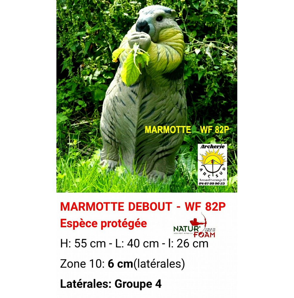 Natur foam bête 3D marmotte debout wf82p