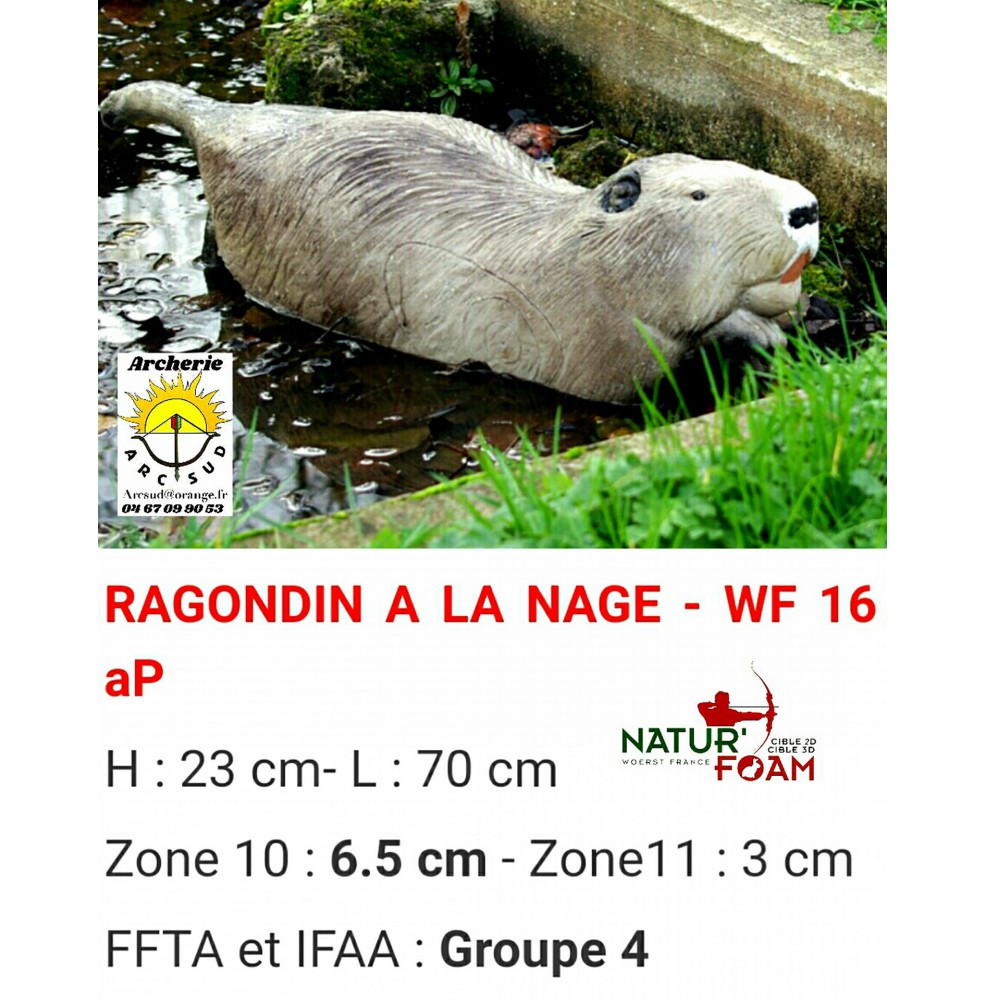 Natur foam bête 3D ragondin à la nage wf16ap