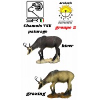 Srt bêtes 3D chamois vse pâturages