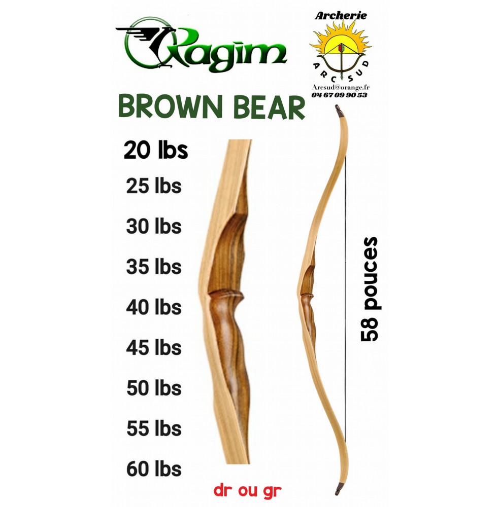 Ragim arc chasse Brown bear