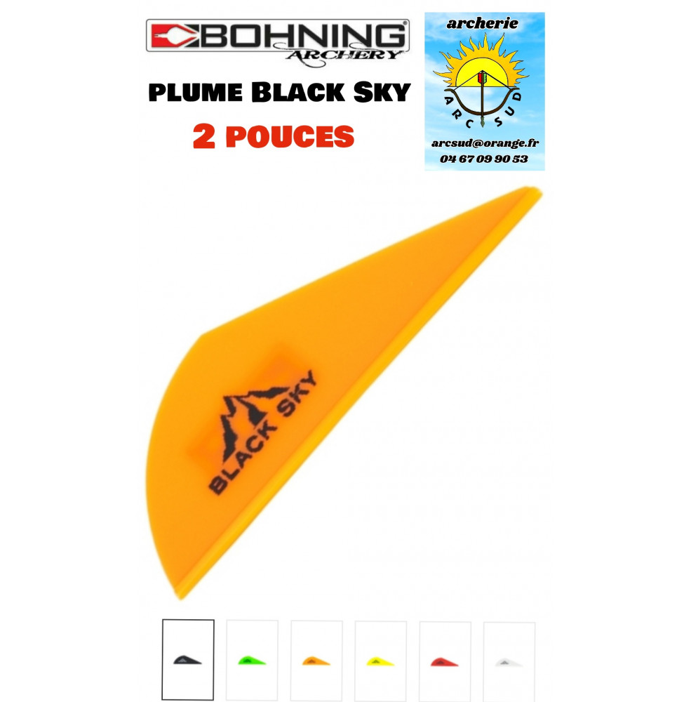 Bohning plumes plastique black sky 2 pouces (par 100) ref A066992