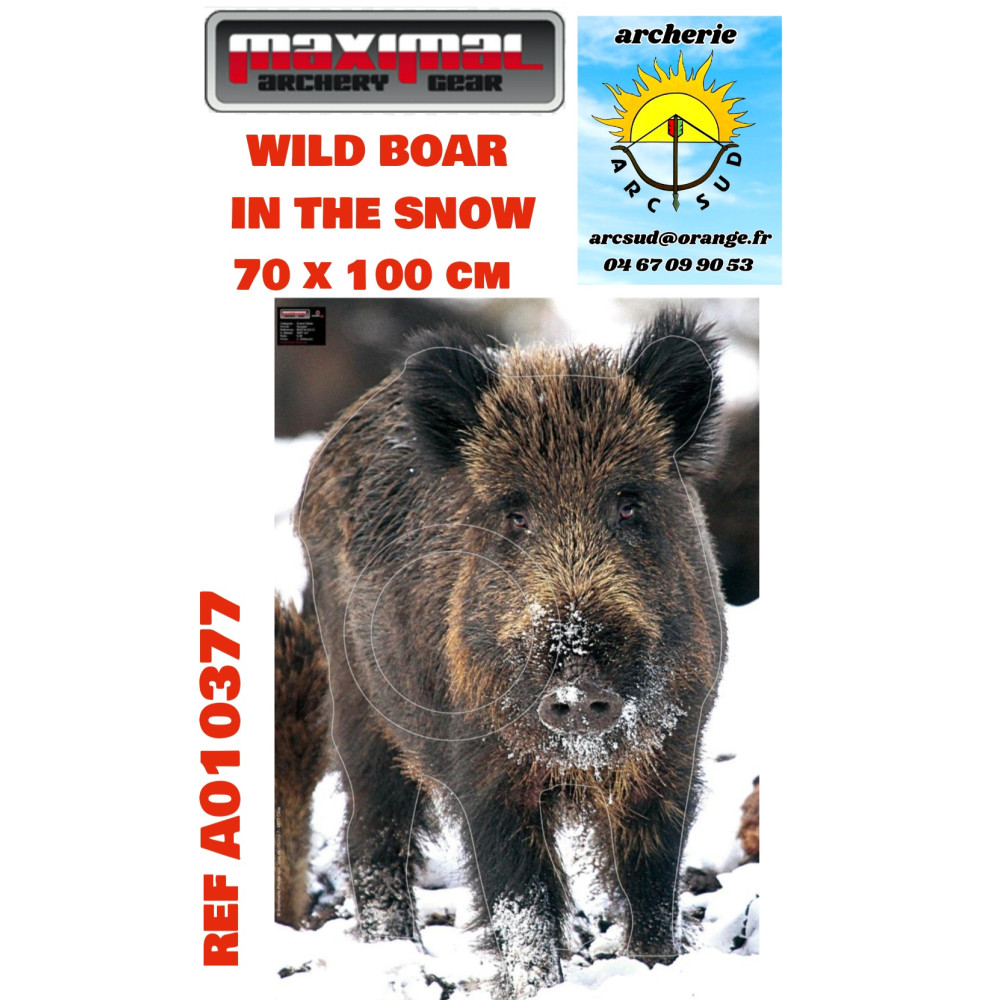 Maximal blason nature wild boar dans la neige ref a010377