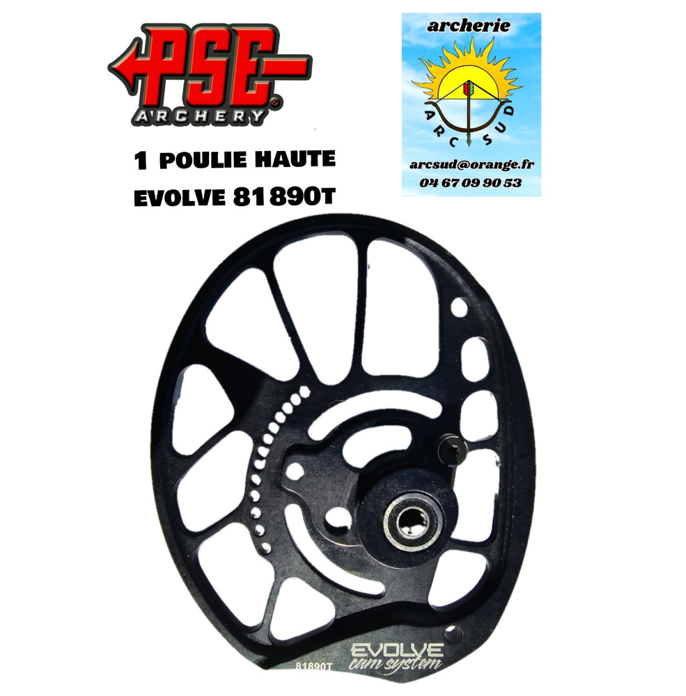 Pse 1 poulie haute evolve 8189t (occasion)