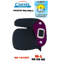 Cartel palette tab pro I...